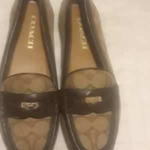 Shoe